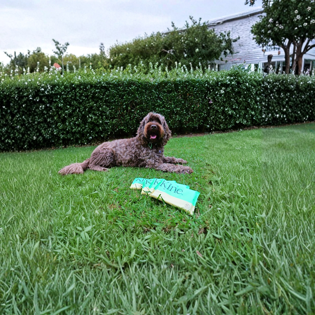 Kine pet wipes