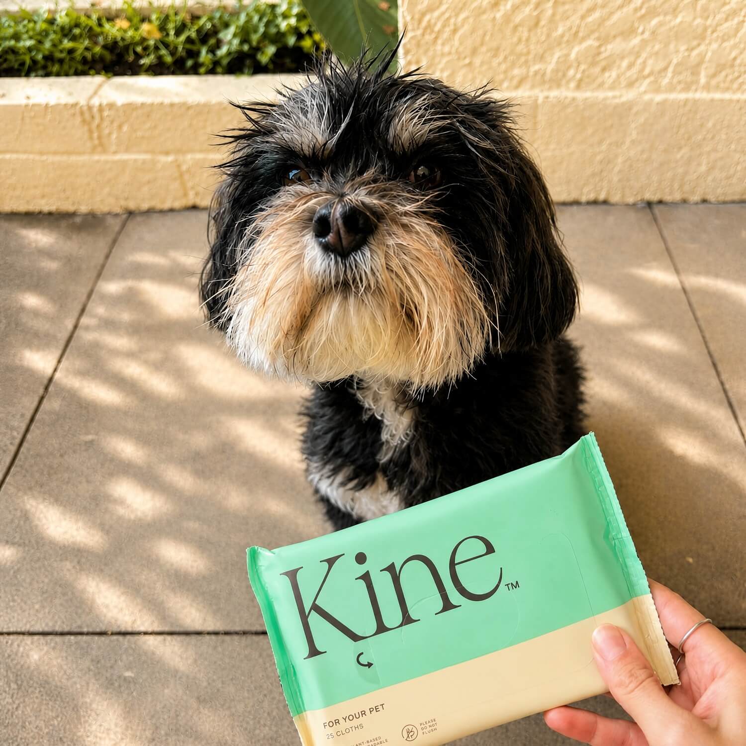 kine biodegradable dog wipes australia